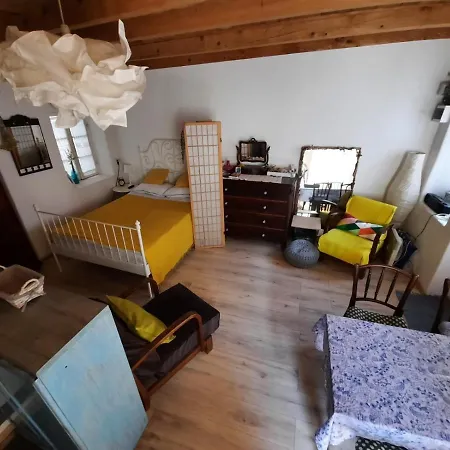Apartament Milu *